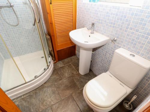 a bathroom with a toilet and a sink and a shower at Hunter Cottage in Haltwhistle
