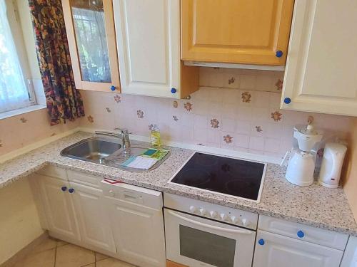 una cocina con fregadero y encimera en Holiday home in Bad Mitterndorf - Steiermark 41125, en Bad Mitterndorf