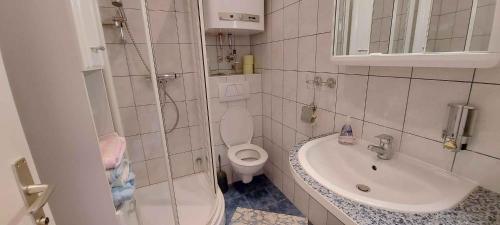 La petite salle de bains est pourvue de toilettes et d'un lavabo. dans l'établissement Apartment in Bad Mitterndorf - Steiermark 36988, à Bad Mitterndorf