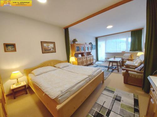 a bedroom with a bed and a living room at Studio in Bad Mitterndorf - Steiermark 41118 in Bad Mitterndorf