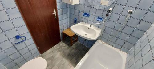 une petite salle de bain avec toilettes et lavabo dans l'établissement Apartment in Bad Mitterndorf - Steiermark 37021, à Bad Mitterndorf