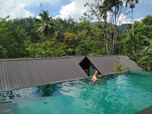 Uitzicht op het zwembad bij Rainforest Chalets - Rainforest Tours,Pool And Ac of in de buurt