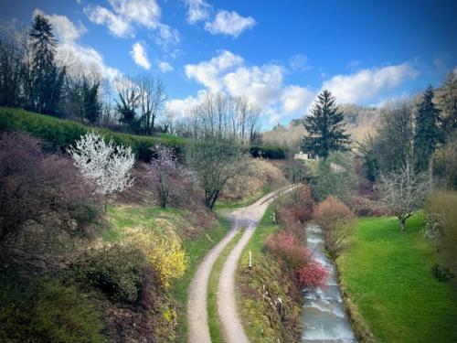 a winding road in the middle of a field with trees at Domaine Du Moulin Vallée Heureuse in Poligny