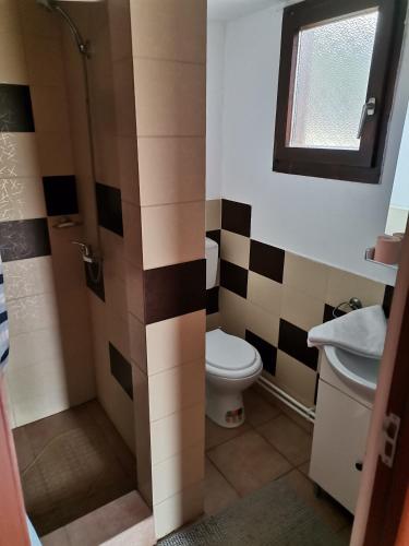 a bathroom with a toilet and a sink at Forest House in Zăbala