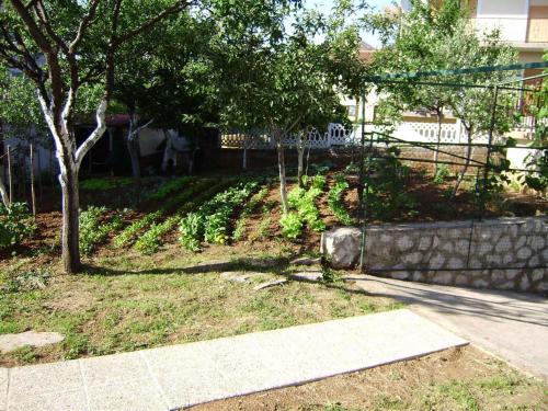 un patio con una pared de piedra y un árbol en Apartment in Cavle 38810, en Čavle
