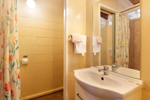 een badkamer met een wastafel en een spiegel bij Aaryn Court Motel in Rotorua