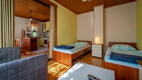 代爾尼采的住宿－Holiday home in Delnice - Gorski Kotar 43959，一间带两张床的客厅和一间厨房