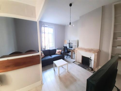a living room with a couch and a fireplace at Appartement Pont des Catalans in Toulouse