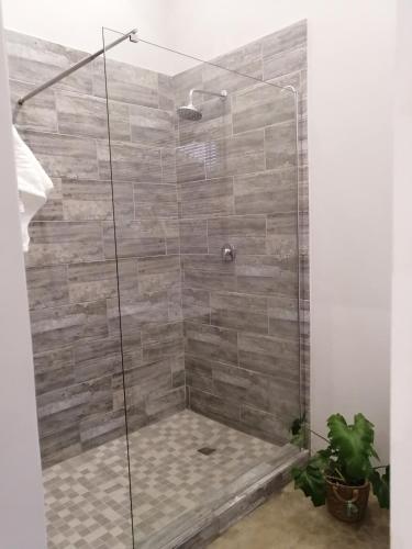 a shower with a glass door with a stone wall at Cooper Cottage in Howick