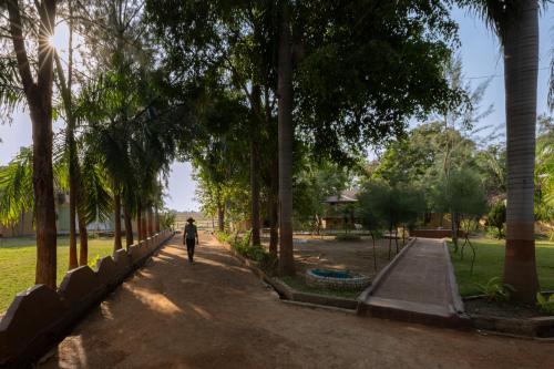 a person walking down a path in a park with trees at Avadale Tadoba - Stag Groups Not Allowed in Mohurli