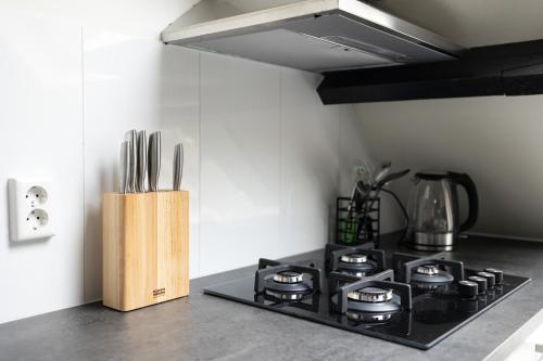 a kitchen counter with a stove and a knife block at 8 person apartment with heated swimmingpool Hoek van Winssen in Winssen
