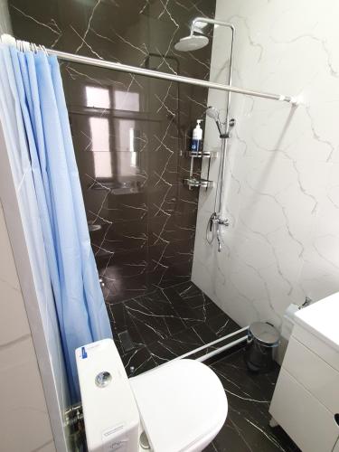 a bathroom with a shower with a toilet and a sink at Comfort Tashkent in Tashkent