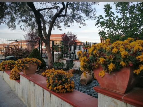 Un jardín fuera de B&B Nausica