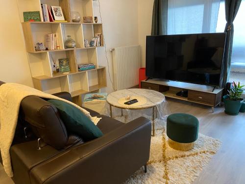 salon z kanapą i telewizorem z płaskim ekranem w obiekcie Nouveau F2 au calme proche Paris w mieście Montigny-lès-Cormeilles
