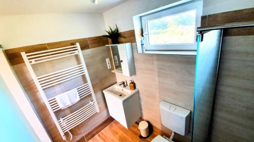 a small bathroom with a toilet and a sink at Kis-Tisza Apartmanházak Tokaj- hegyalja in Tiszaladány