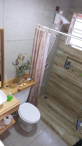 a bathroom with a toilet and a shower at casa de temporada do Braz in Monte Verde