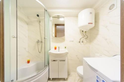 a bathroom with a shower and a sink and a toilet at Smart House 11 in Kyiv