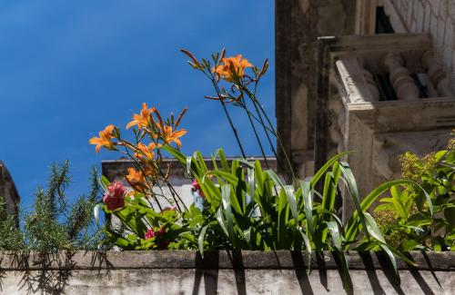 a bunch of flowers in a window box at Slavija Culture Heritage Hotel in Split
