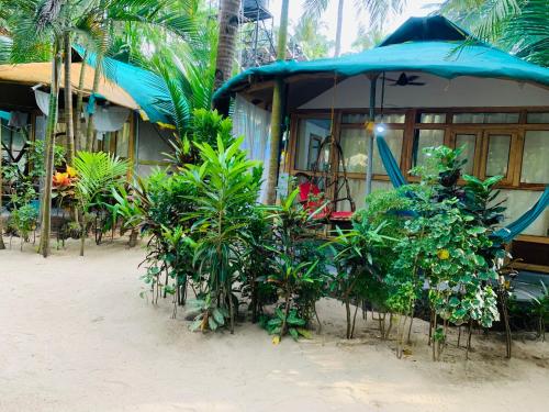 a house on the beach with plants and an umbrella at Lacto Cressida in Palolem
