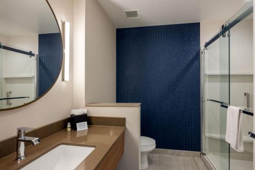 a bathroom with a sink and a toilet and a mirror at Fairfield by Marriott Inn & Suites Canton Riverstone Parkway in Canton