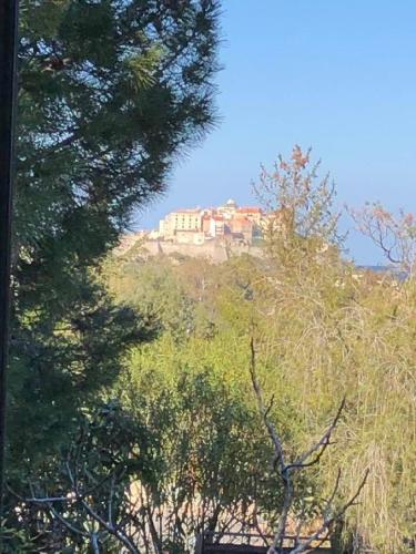 une maison au sommet d'une colline avec des arbres dans l'établissement L'UMBRIA, à Calvi