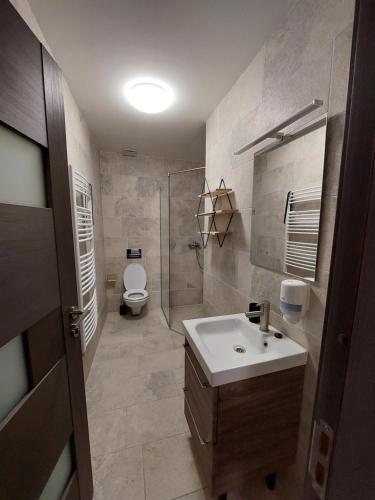 La salle de bains est pourvue d'un lavabo et de toilettes. dans l'établissement NoMi Ultracentral Apartments, à Târgu-Mureş