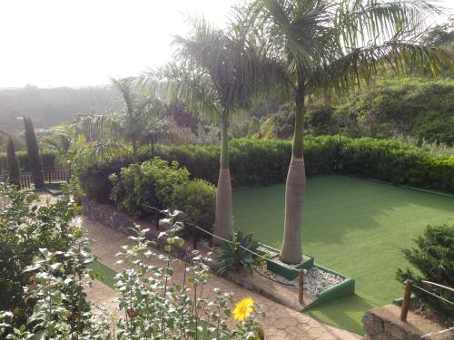 a pond with two palm trees in a garden at Holiday Home El Brezal in El Palmital