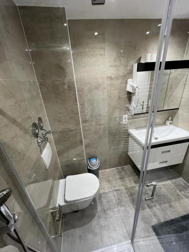 a bathroom with a shower and a toilet and a sink at Ferienhaus Butterfly 2 in Garmisch-Partenkirchen