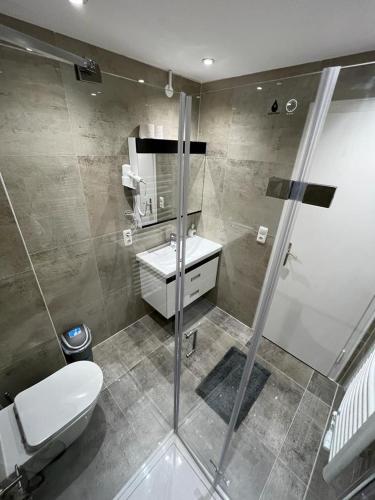 a bathroom with a shower and a toilet and a sink at Ferienhaus Butterfly 2 in Garmisch-Partenkirchen