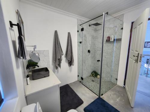 Un baño con ducha, inodoro y lavabo. en Villa Maria, en Dwarskersbos