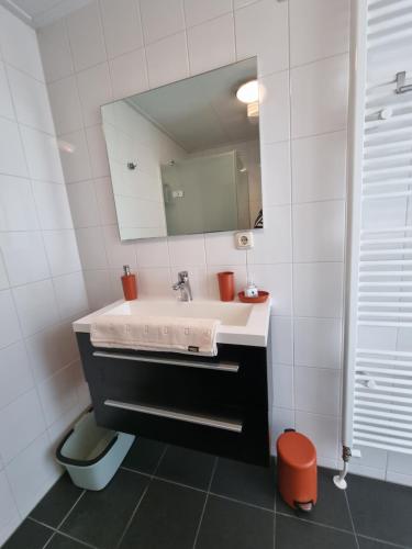 y baño con lavabo y espejo. en Rietmeer vakantiehuis Friesland, en Gaastmeer