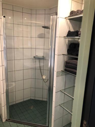 a shower with a glass door in a bathroom at De Genten 2, Vakantiewoning met jacuzzi en sauna in Ermelo