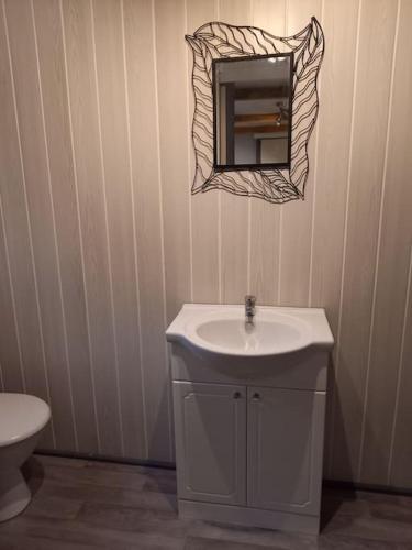 une salle de bain avec un lavabo et un miroir au mur dans l'établissement Chalet 5 personnes vallée du lot, à Laburgade