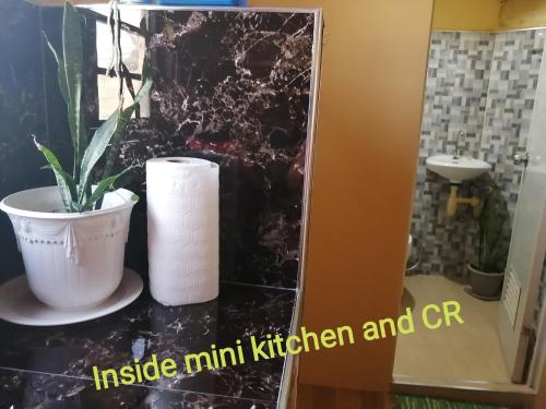 een badkamer met toiletpapier en een plant op een aanrecht bij Triple JS Home Deca Clark Residences in Angeles