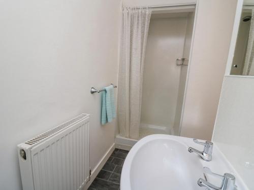 a bathroom with a white toilet and a shower at The Searle in Llandrindod Wells