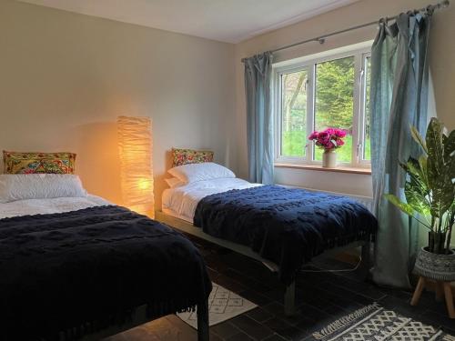 een slaapkamer met 2 bedden en een raam bij Healing Pastures Farm in Llanbrynmair
