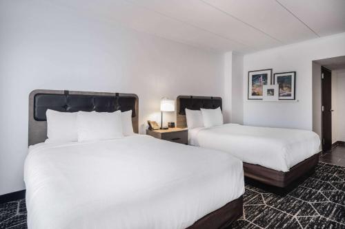 La Quinta by Wyndham Chicago O'Hare Airport Image