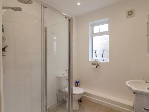 a bathroom with a shower and a toilet and a sink at Sherwood Apartment in Margate