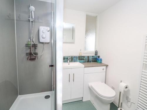 a bathroom with a toilet and a sink and a shower at Flat 6 in Falmouth