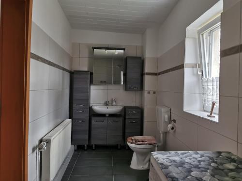 a bathroom with a sink and a toilet and a mirror at Ferienwohnung Am Stadtrand Garz Rügen in Garz
