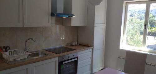 Кухня или кухненски бокс в Apartments Ljilja