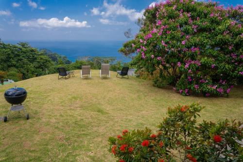 a grill and chairs sitting on a hill with flowers at Villa Mille Soleil in Port Glaud