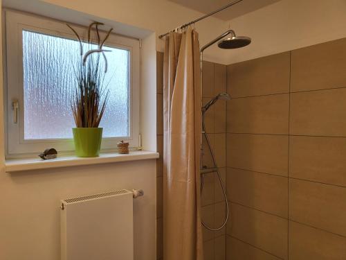 La salle de bains est pourvue d'une douche et d'une fenêtre avec une plante. dans l'établissement Ferienhaus Annas Garten, à Sankt Peter-Ording