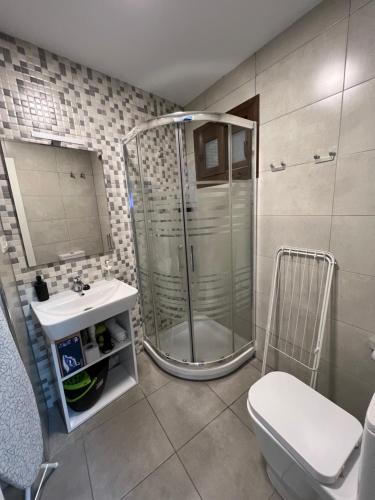 y baño con ducha, aseo y lavamanos. en Apartamentos Royal Urban Granada, en Granada