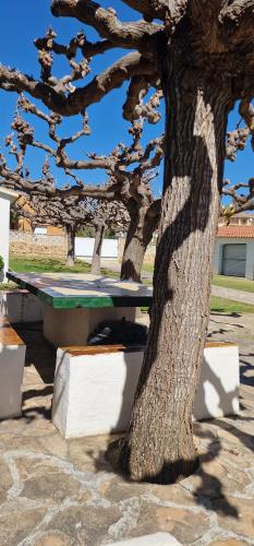 Precioso apartamento cerca de la playa!