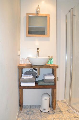 a bathroom with a sink and some towels and a shower at Stee 23 in Hertsberge