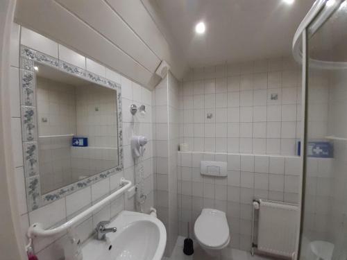 Un baño con lavabo, inodoro y espejo. en Ferienwohnung-Stricker-3-2, en Walkenried