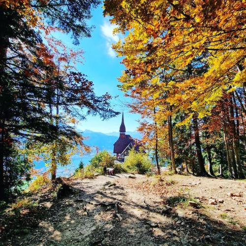 a church in the middle of a field with trees at Königin der Alpen in Beatenberg