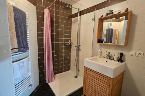 La salle de bains est pourvue d'un lavabo et d'une douche. dans l'établissement Le Corzent 1 chambre, à Thonon-les-Bains