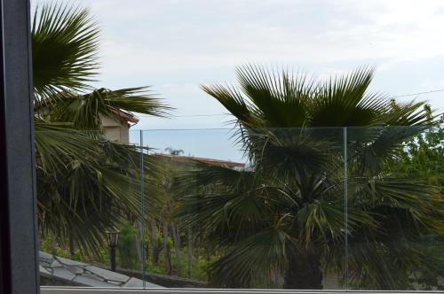 a view of a palm tree from a window at B&B Dimora dell' Etna in Milo